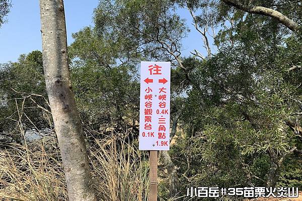 PhotoCap_021.jpg PhotoCap_021.jpg