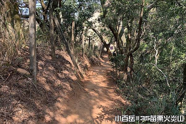 PhotoCap_022.jpg PhotoCap_022.jpg