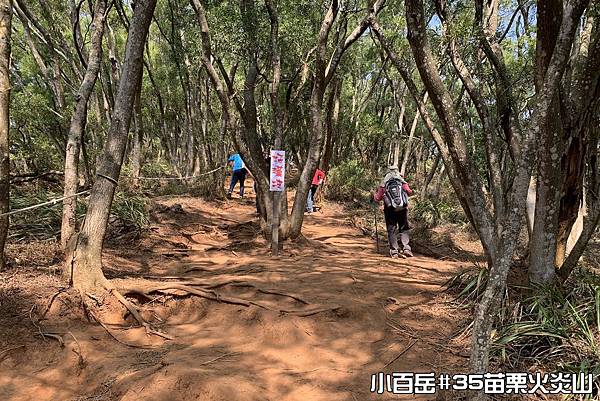 PhotoCap_019.jpg PhotoCap_019.jpg