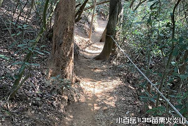 PhotoCap_024.jpg PhotoCap_024.jpg