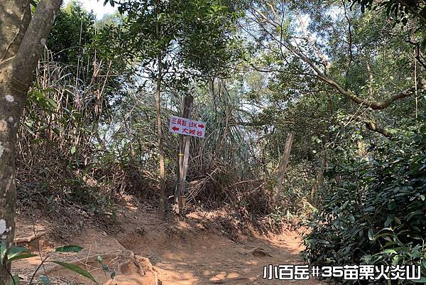 PhotoCap_028.jpg PhotoCap_028.jpg