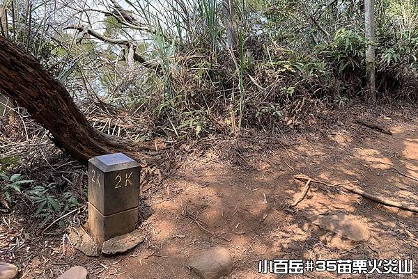 PhotoCap_029.jpg PhotoCap_029.jpg