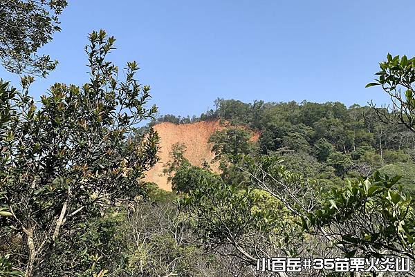 PhotoCap_027.jpg PhotoCap_027.jpg