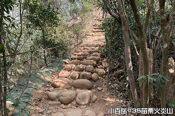 PhotoCap_035.jpg PhotoCap_035.jpg