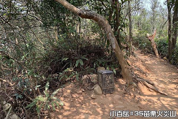 PhotoCap_038.jpg PhotoCap_038.jpg