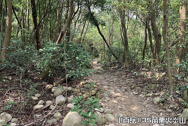 PhotoCap_044.jpg PhotoCap_044.jpg