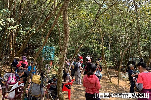 PhotoCap_042.jpg PhotoCap_042.jpg