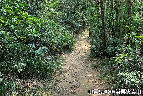 PhotoCap_043.jpg PhotoCap_043.jpg