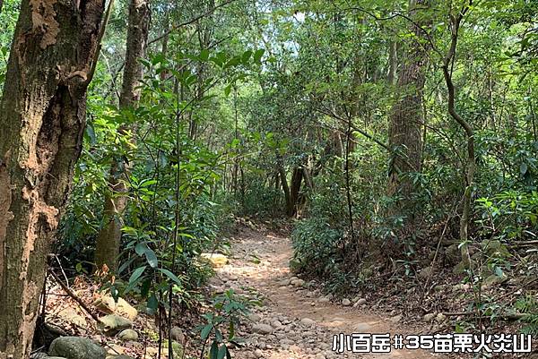 PhotoCap_047.jpg PhotoCap_047.jpg