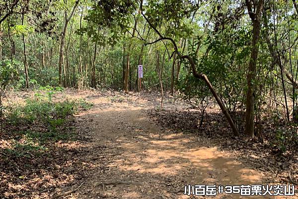 PhotoCap_046.jpg PhotoCap_046.jpg