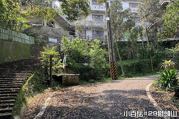 PhotoCap_獅006.jpg PhotoCap_獅006.jpg