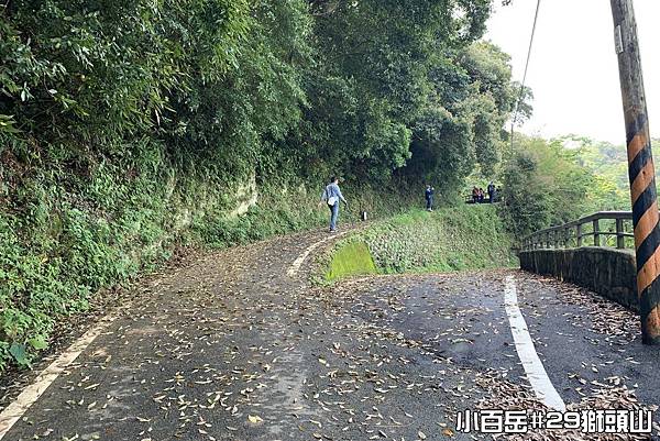 PhotoCap_獅005.jpg PhotoCap_獅005.jpg