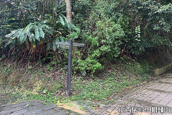 PhotoCap_獅003.jpg PhotoCap_獅003.jpg