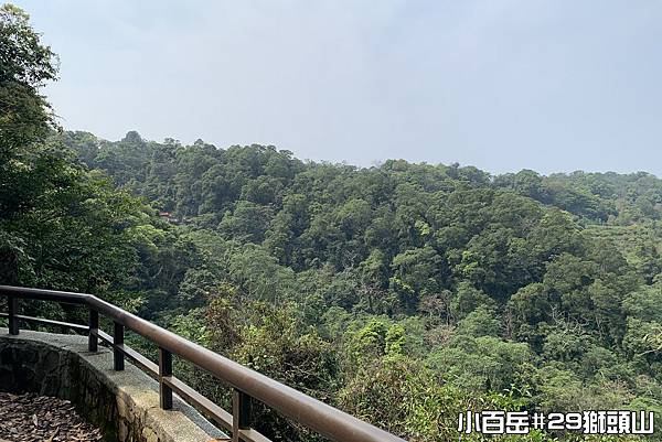 PhotoCap_獅007.jpg PhotoCap_獅007.jpg