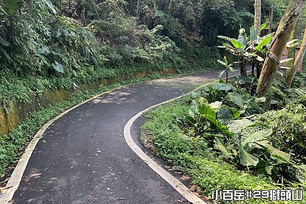 PhotoCap_獅009.jpg PhotoCap_獅009.jpg