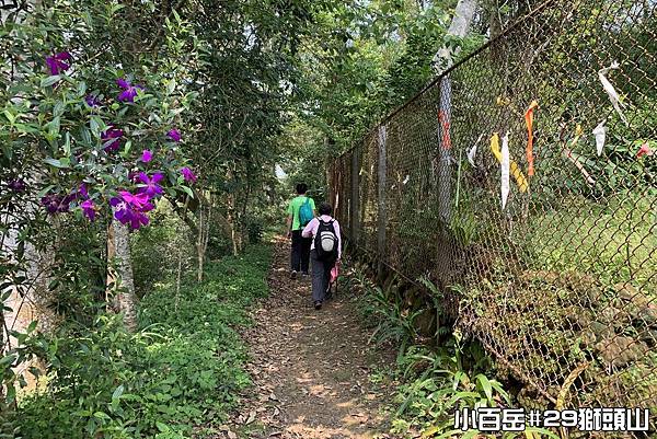 PhotoCap_獅015.jpg PhotoCap_獅015.jpg