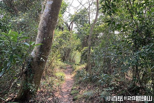 PhotoCap_獅017.jpg PhotoCap_獅017.jpg