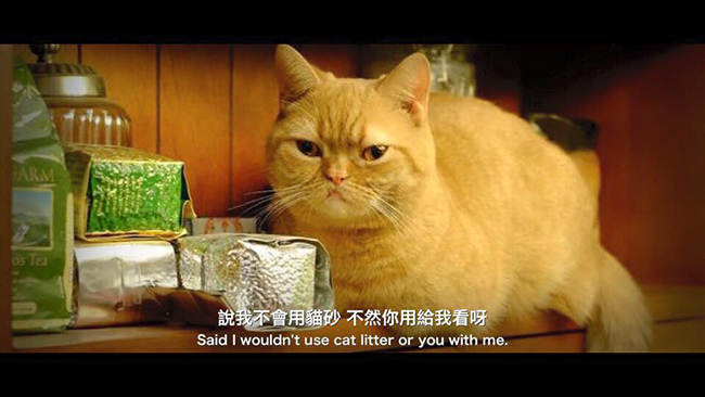 11665360_949660591720790_3500735674639375001_n