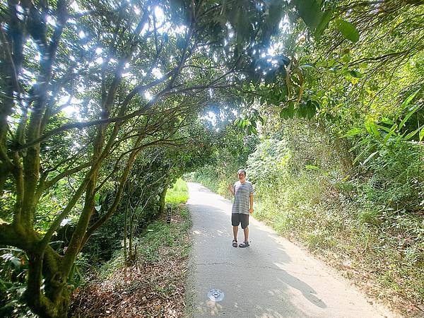 113.10.21.大坑 (185).jpg