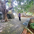 114.2.1 (110).jpg