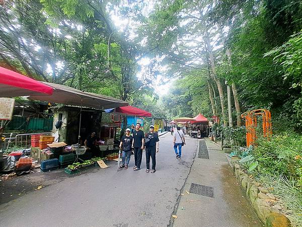 114.7.23大坑6號步道、大坑9號步道(下)