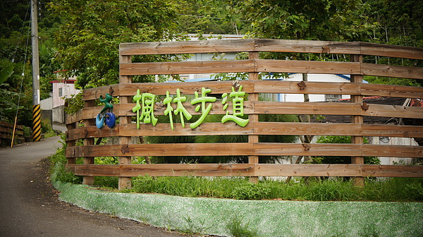 楓林步道04