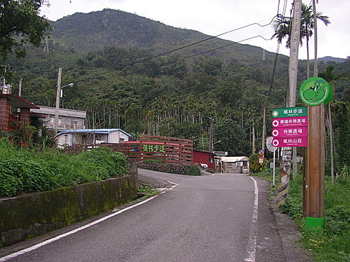 楓林步道07