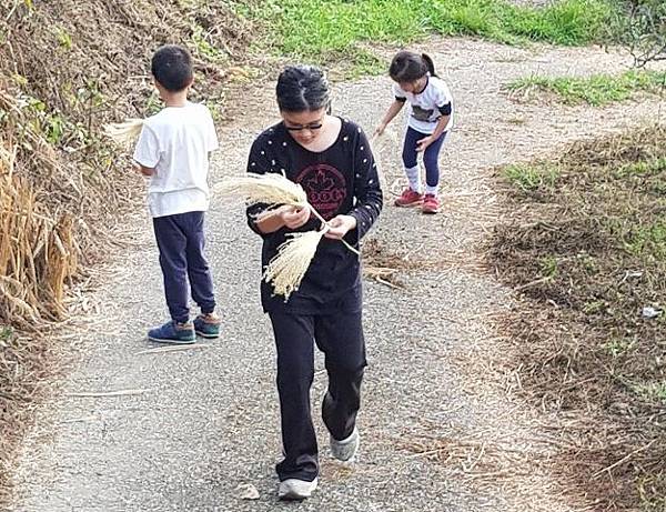 20171104_162331_cropped (Small).jpg