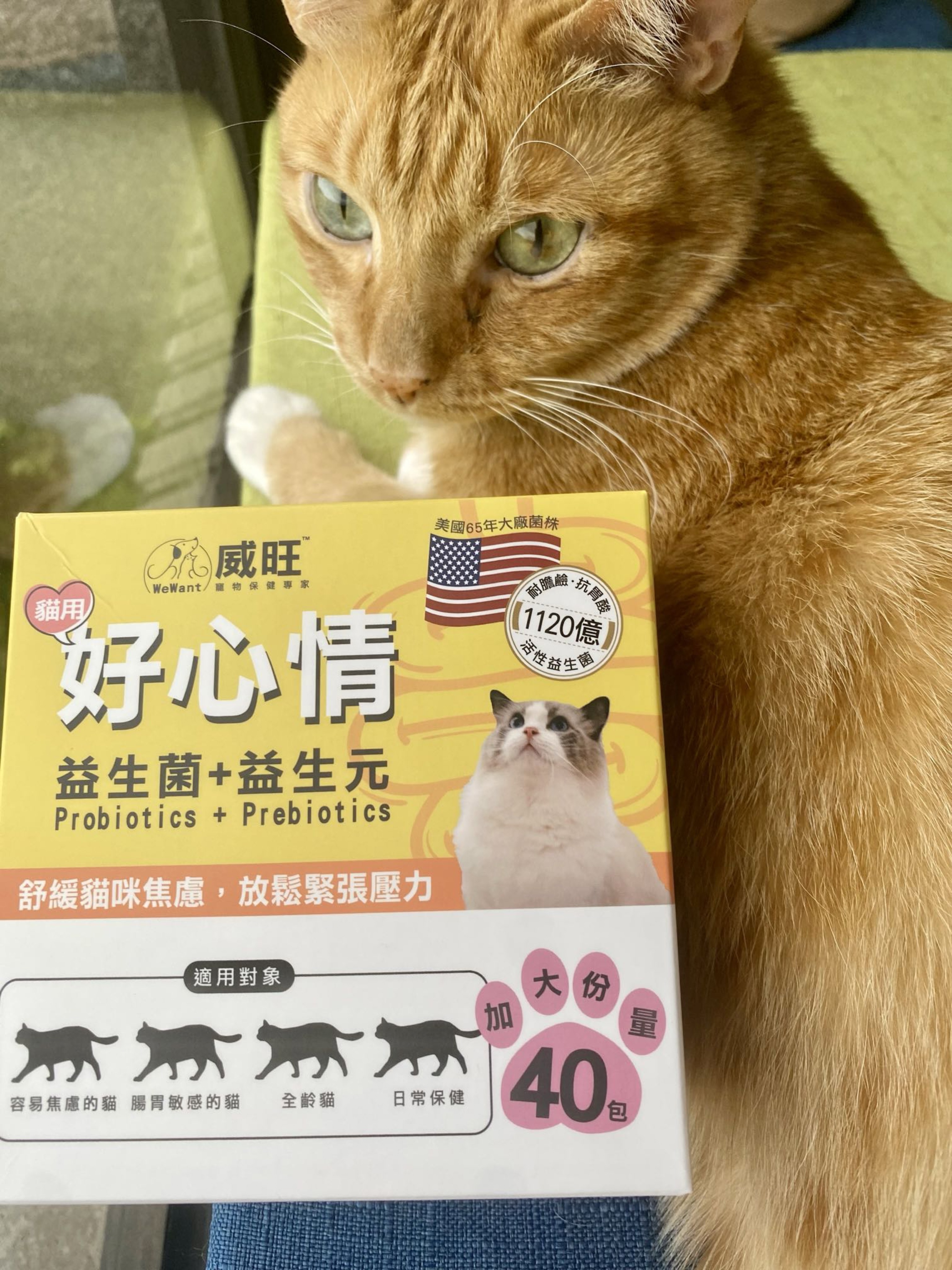 Ｗewant威旺