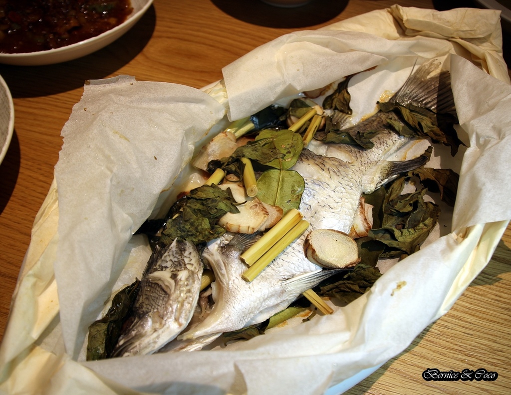 IMG_9804.JPG IMG_9804.JPG