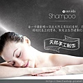 Nuvida Hair Recipe Shampoo 每一步骤都精心筛选天然又有效的素材，让您的秀发吸收真正的营养，散发自然健康的美丽！  ✔ 每天早晚用Nuvida H