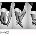 david+wada001