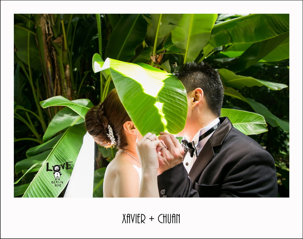 xaviershuchuan001.jpg xaviershuchuan001.jpg