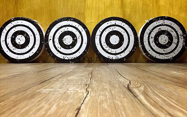 20160103 新年百射會