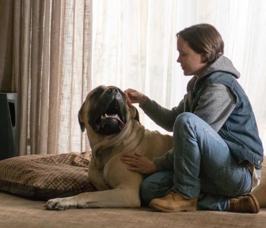 freeheld06_520x445.jpg