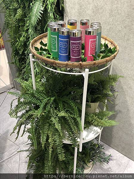 LiCha禮采芙11.jpg LiCha禮采芙11.jpg