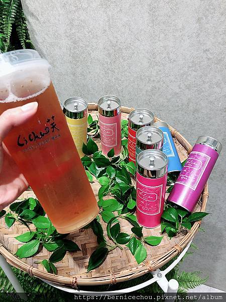 LiCha禮采芙27.jpg LiCha禮采芙27.jpg