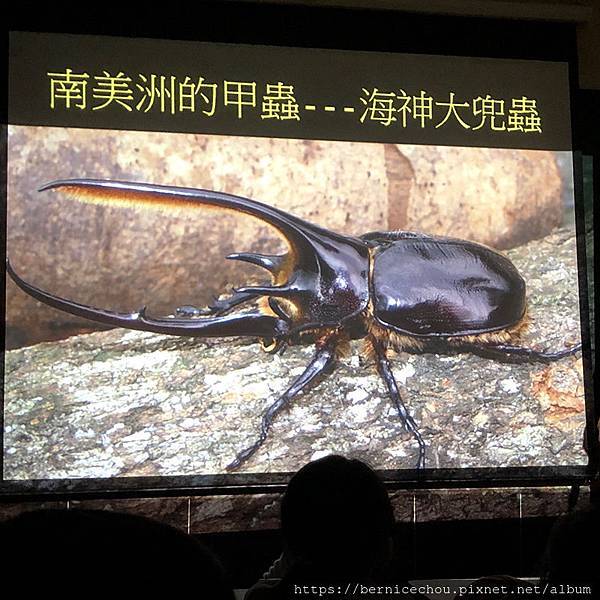 遊記 台灣昆蟲館 鍬形蟲飼育講座 走進昆蟲世界 生態教育好處去 Im Ber Ber 痞客邦 遊記 台灣昆蟲館 鍬形蟲飼育講座 走進昆蟲世界 生態教育好處去 Im Ber Ber 痞客邦
