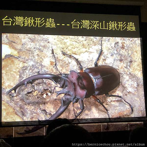 遊記 台灣昆蟲館 鍬形蟲飼育講座 走進昆蟲世界 生態教育好處去 Im Ber Ber 痞客邦 遊記 台灣昆蟲館 鍬形蟲飼育講座 走進昆蟲世界 生態教育好處去 Im Ber Ber 痞客邦