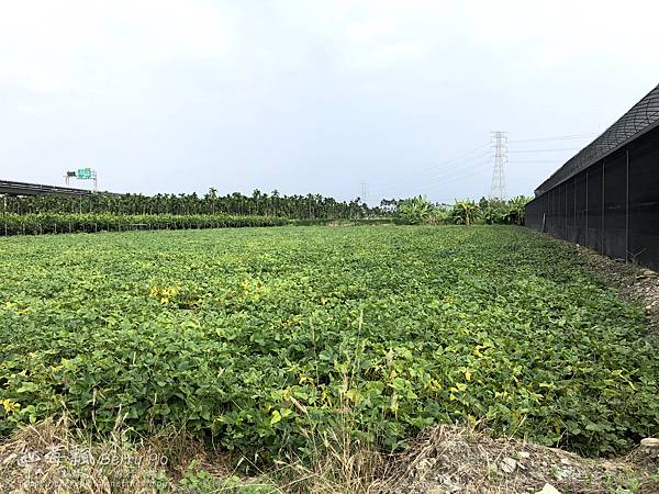 IMG_3686.jpg IMG_3686.jpg