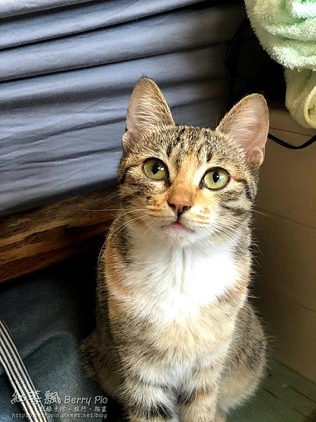 IMG_6500.jpg IMG_6500.jpg