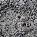 沙洲的黑洞.jpg