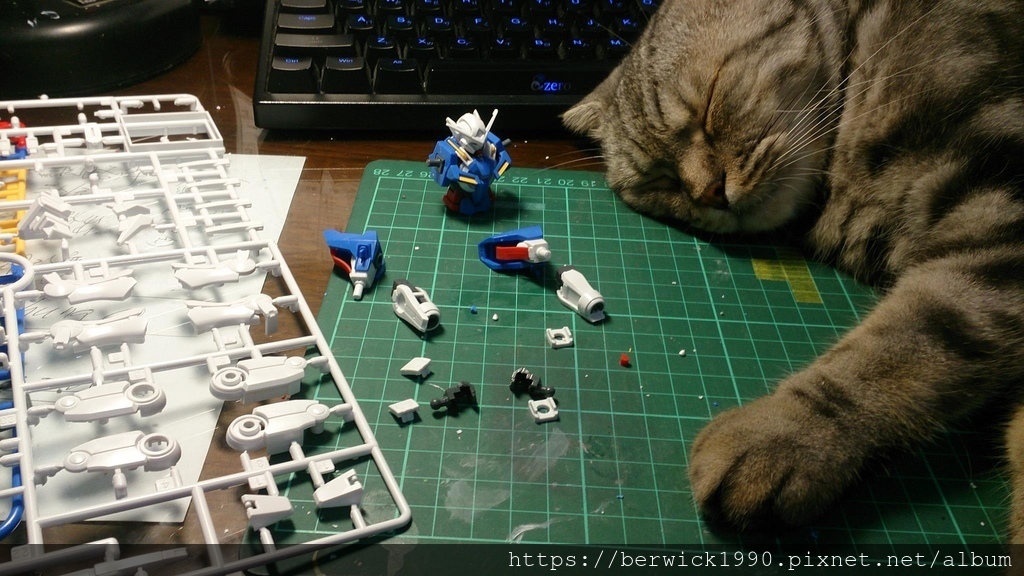 16804201_1457354877616118_7387372304425956980_o.jpg 16804201_1457354877616118_7387372304425956980_o.jpg