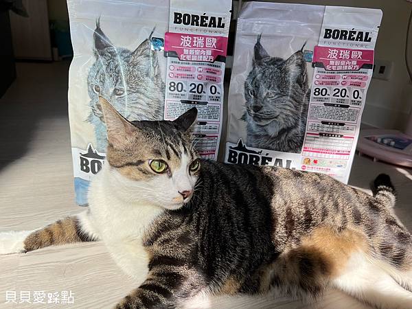 【貓咪無穀飼料】波瑞歐 | 波瑞歐貓飼料 | 無穀貓飼料 |