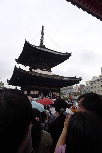 P1030702 P1030702