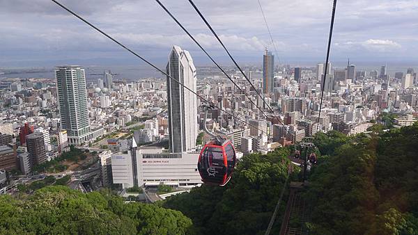 P1050229 P1050229