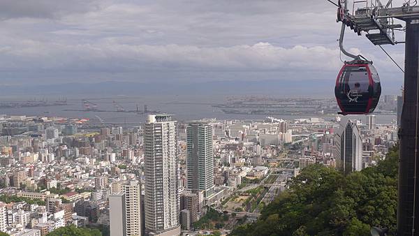 P1050232 P1050232