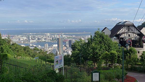 P1050255 P1050255