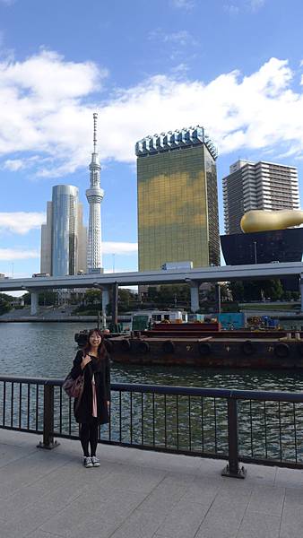 P1060291 P1060291