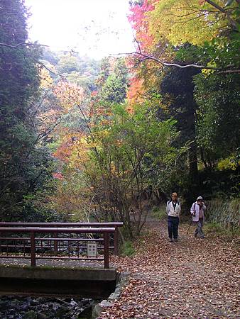 SANY0117.JPG SANY0117.JPG